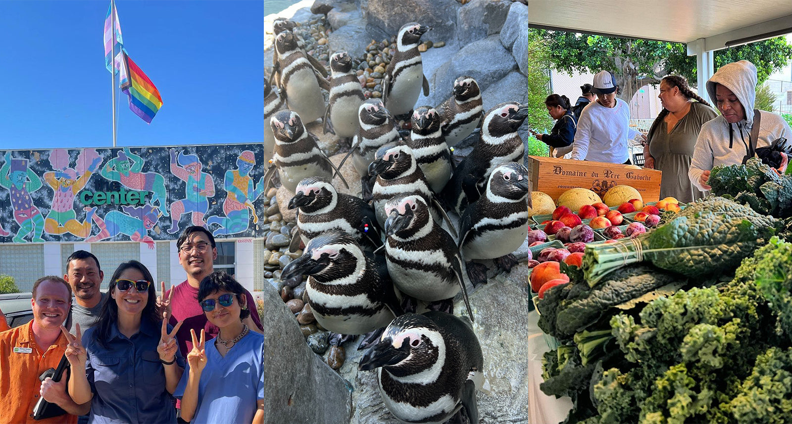 5 Orgs to Support this #GivingTuesday