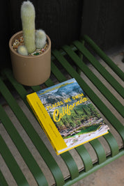 Places We Swim California