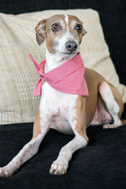 Red Gingham Bandana