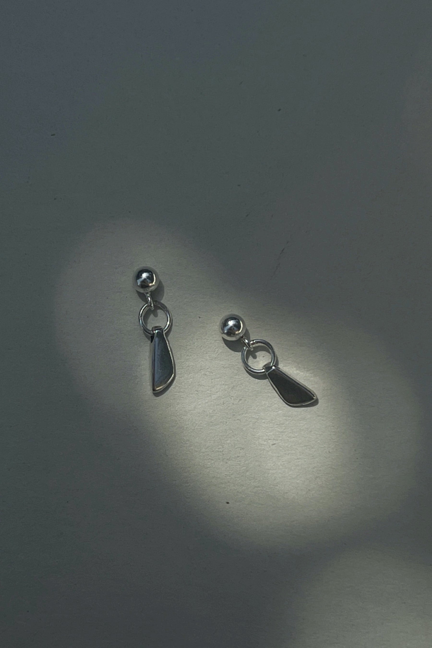 Silver Fin Earrings