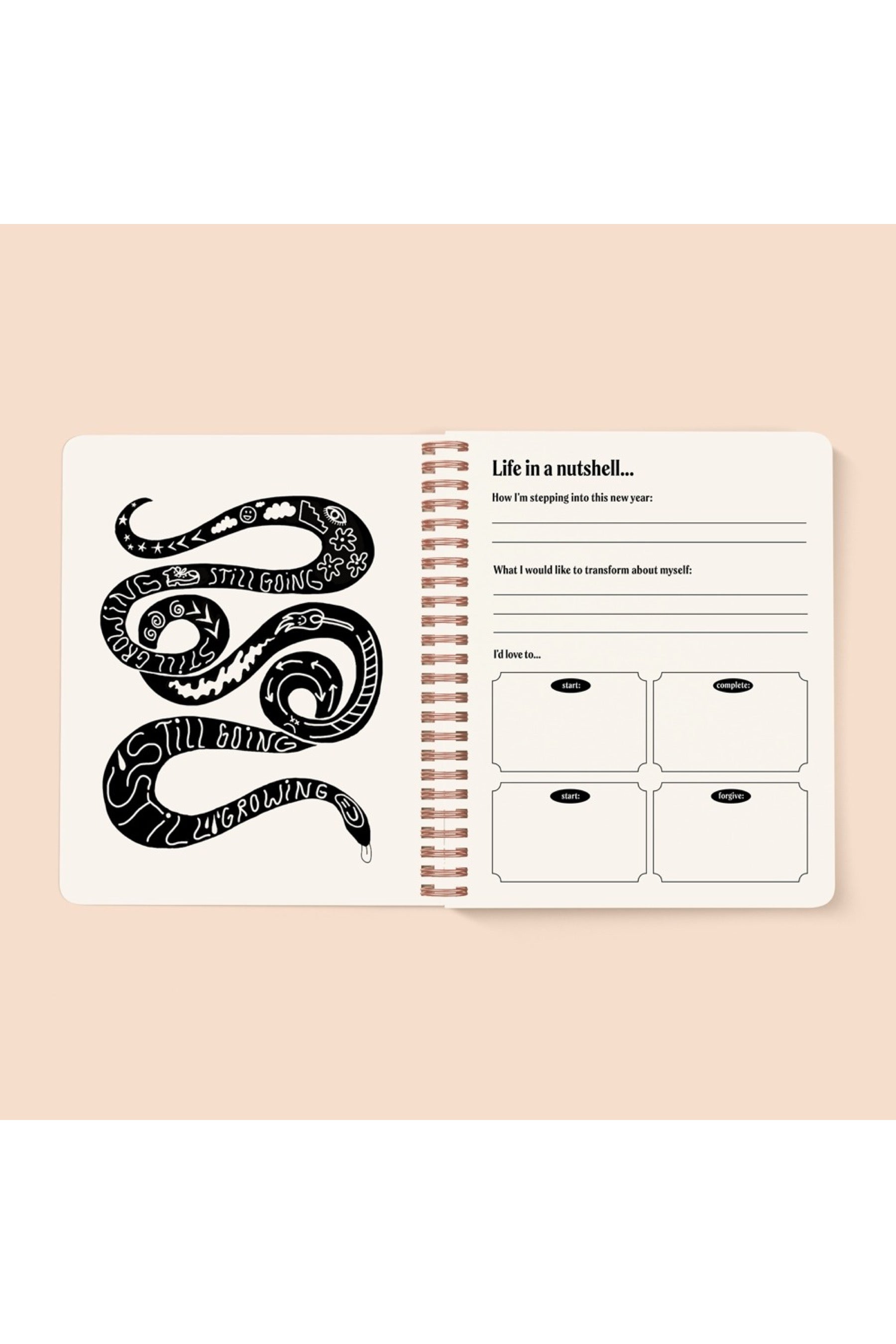 Seeing Eye Undated Planner