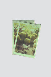 Cacti & Desert Dreams Calendar