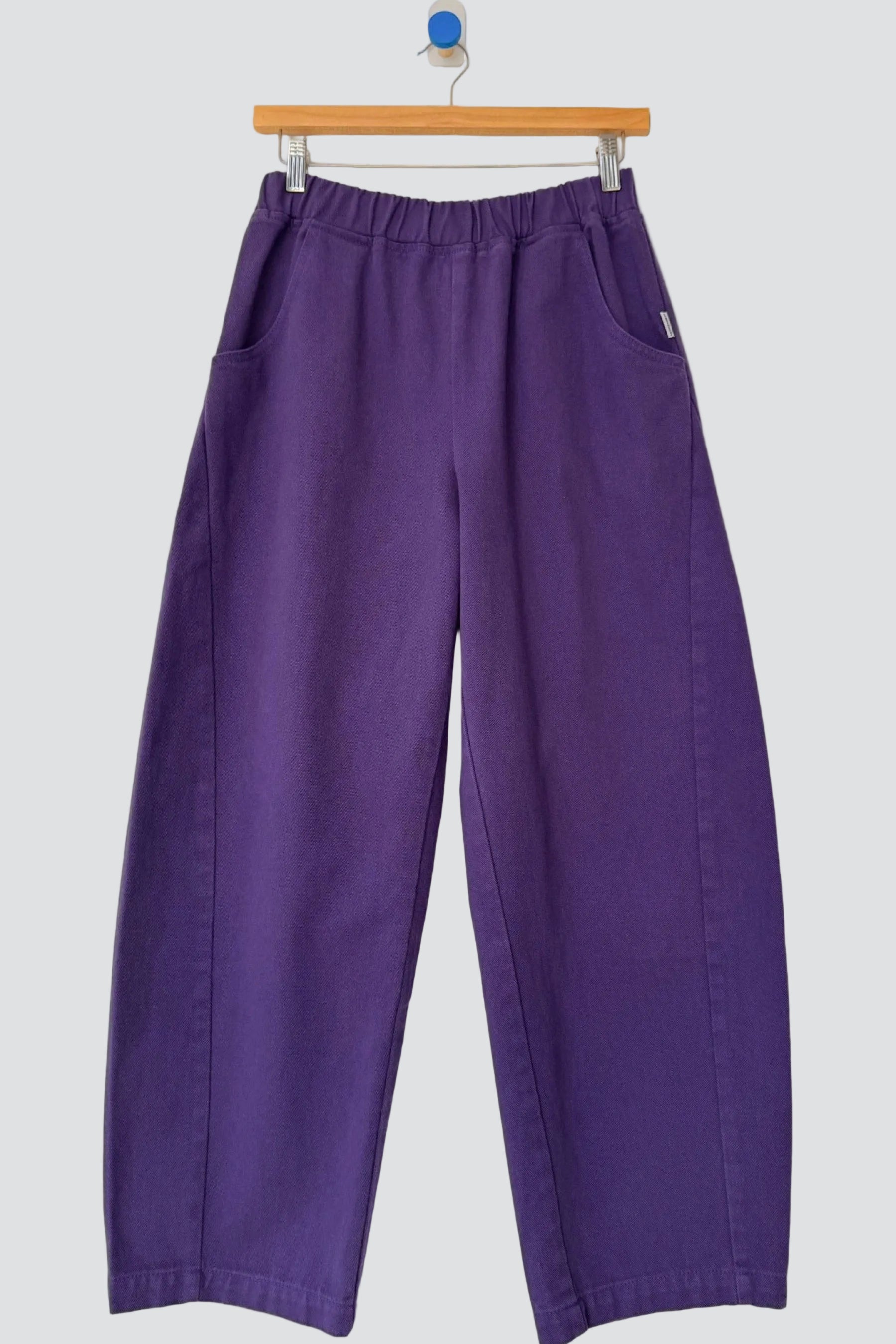 Eggplant Arc Pant
