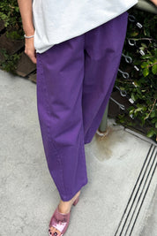 Eggplant Arc Pant