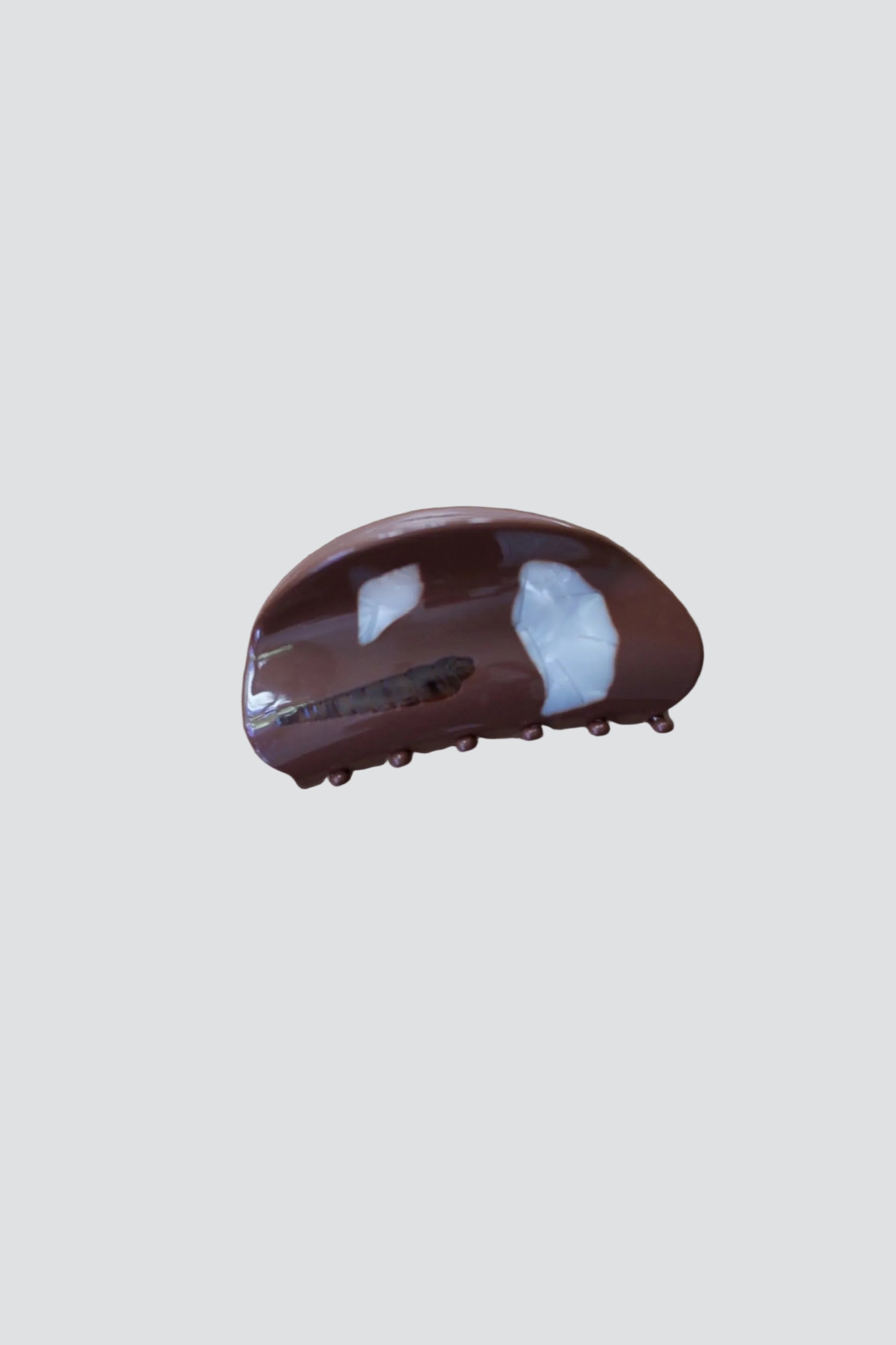 Cocoa Shell Conch Claw