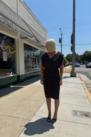 Suzi Polka Dot Dress