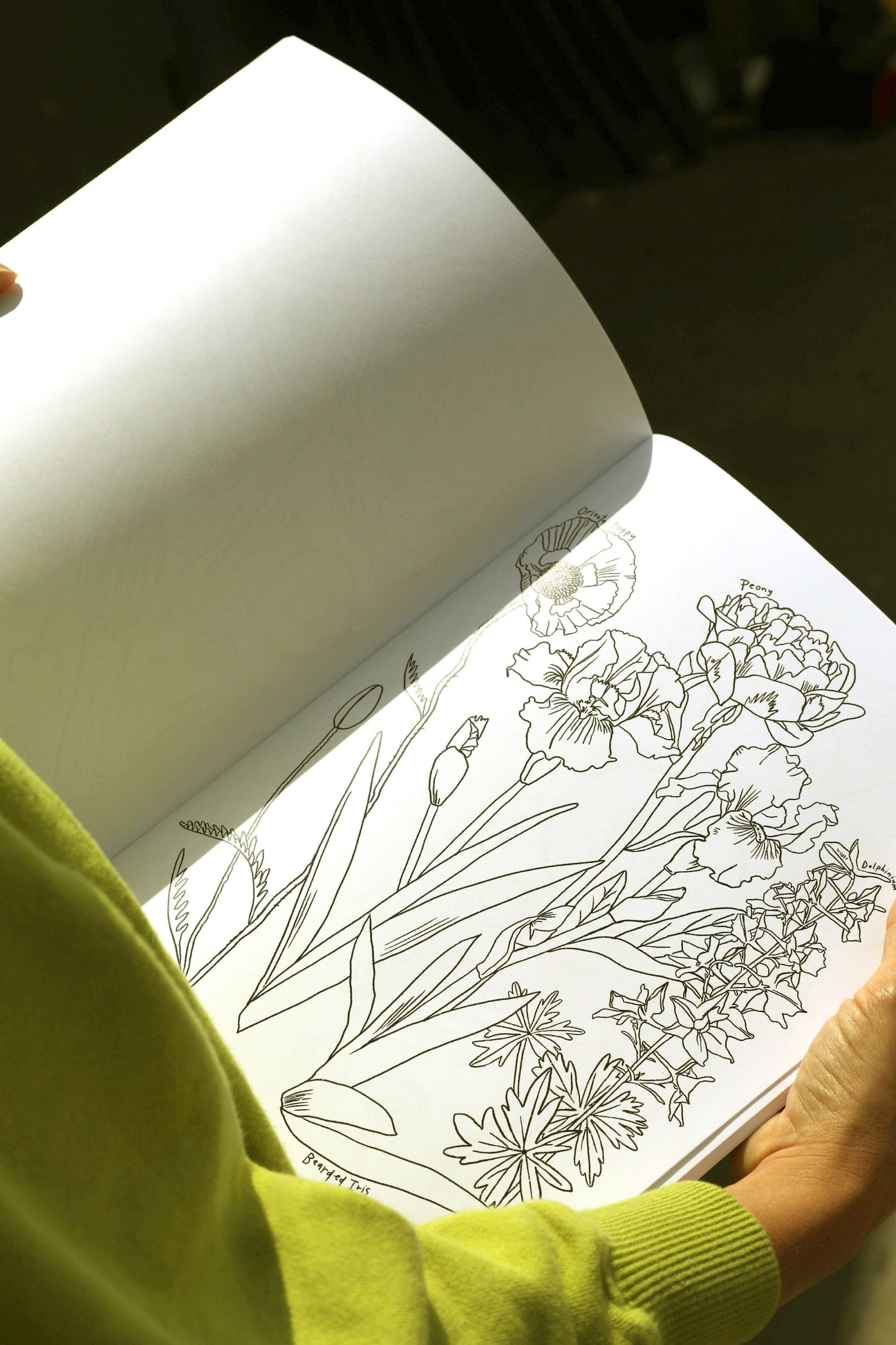 A Garden For All Seasons Coloring Book