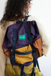 Violet Colorblock Backpack