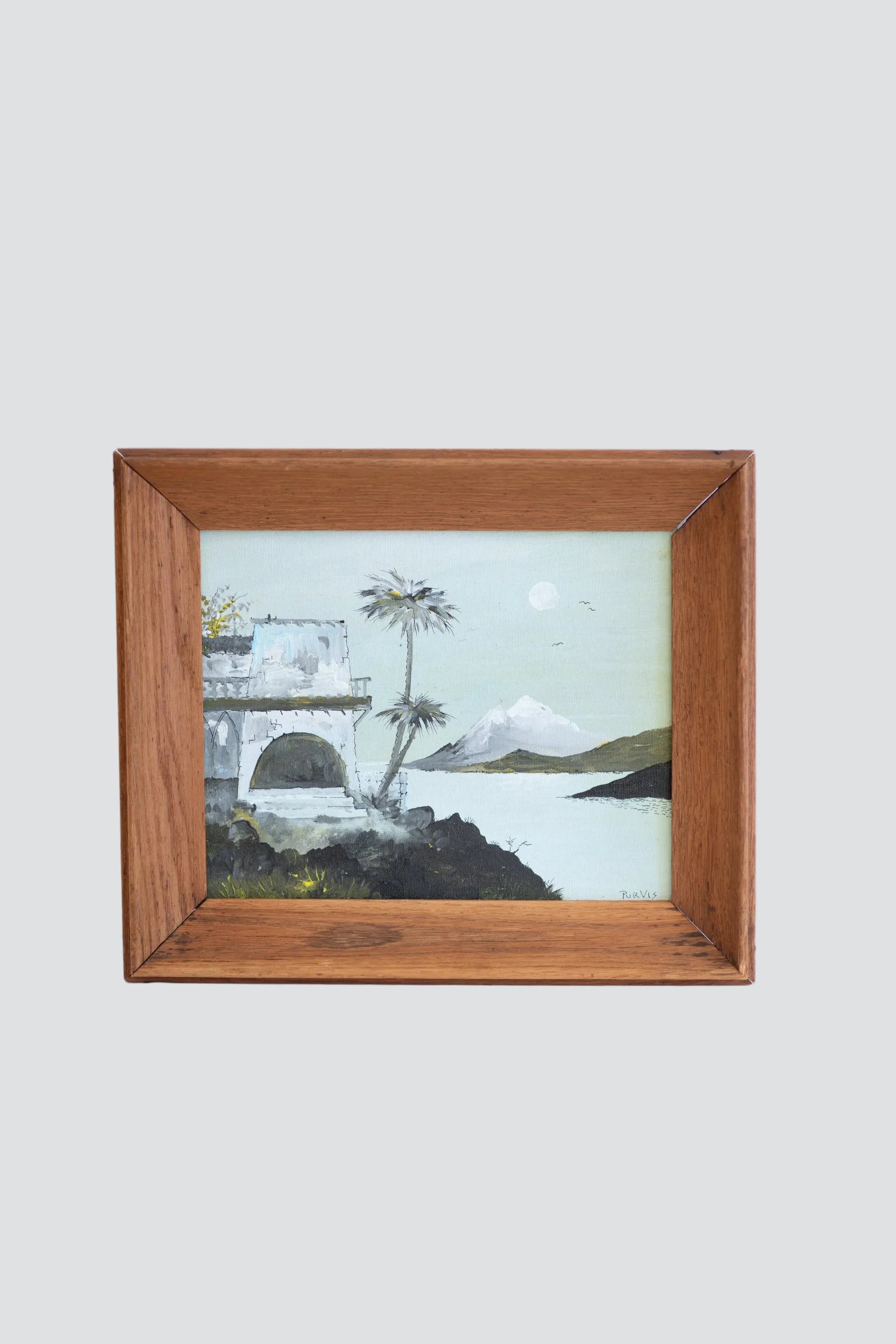 Malibu Painting Framed Art