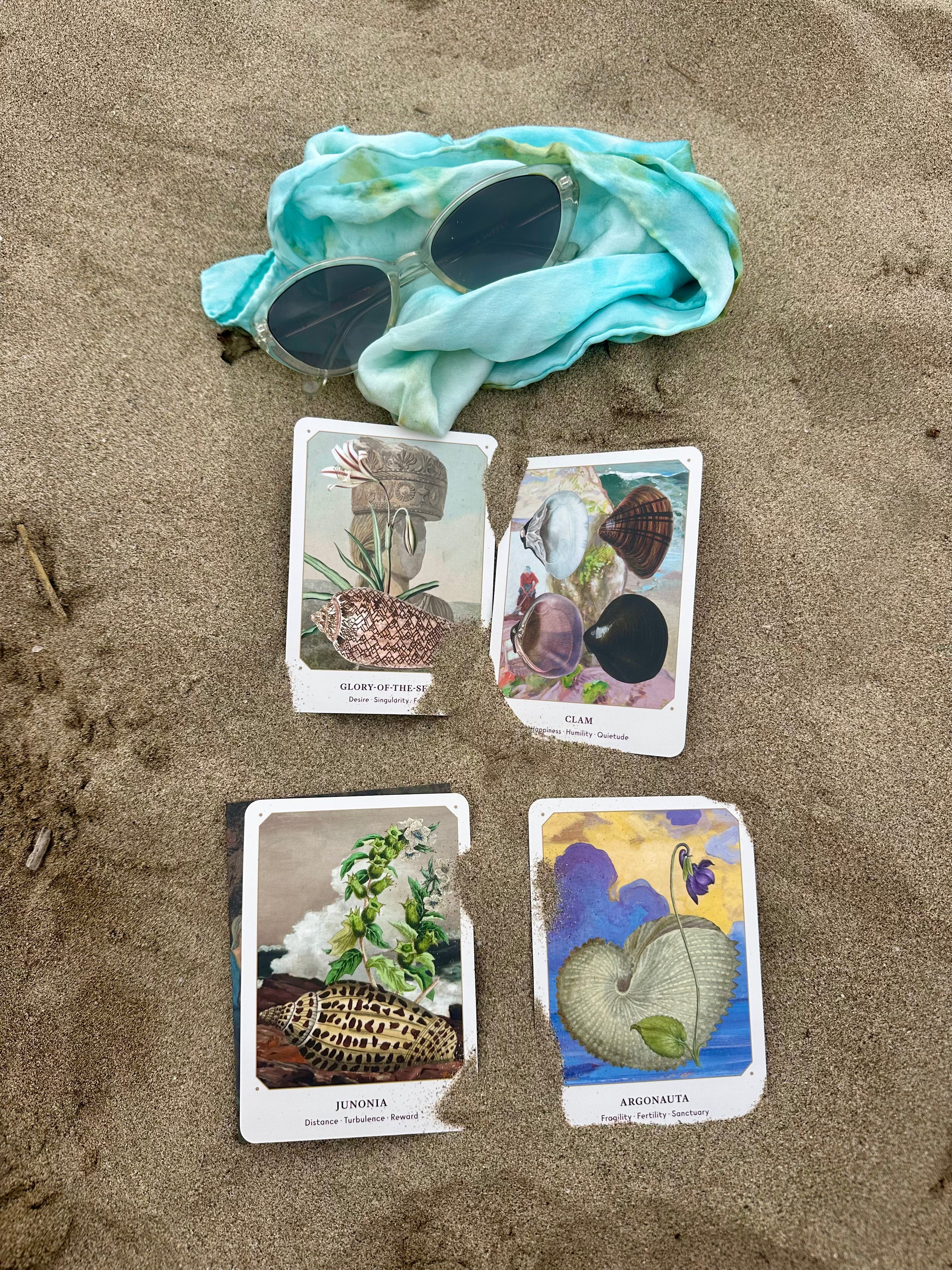 The Seashell Oracle