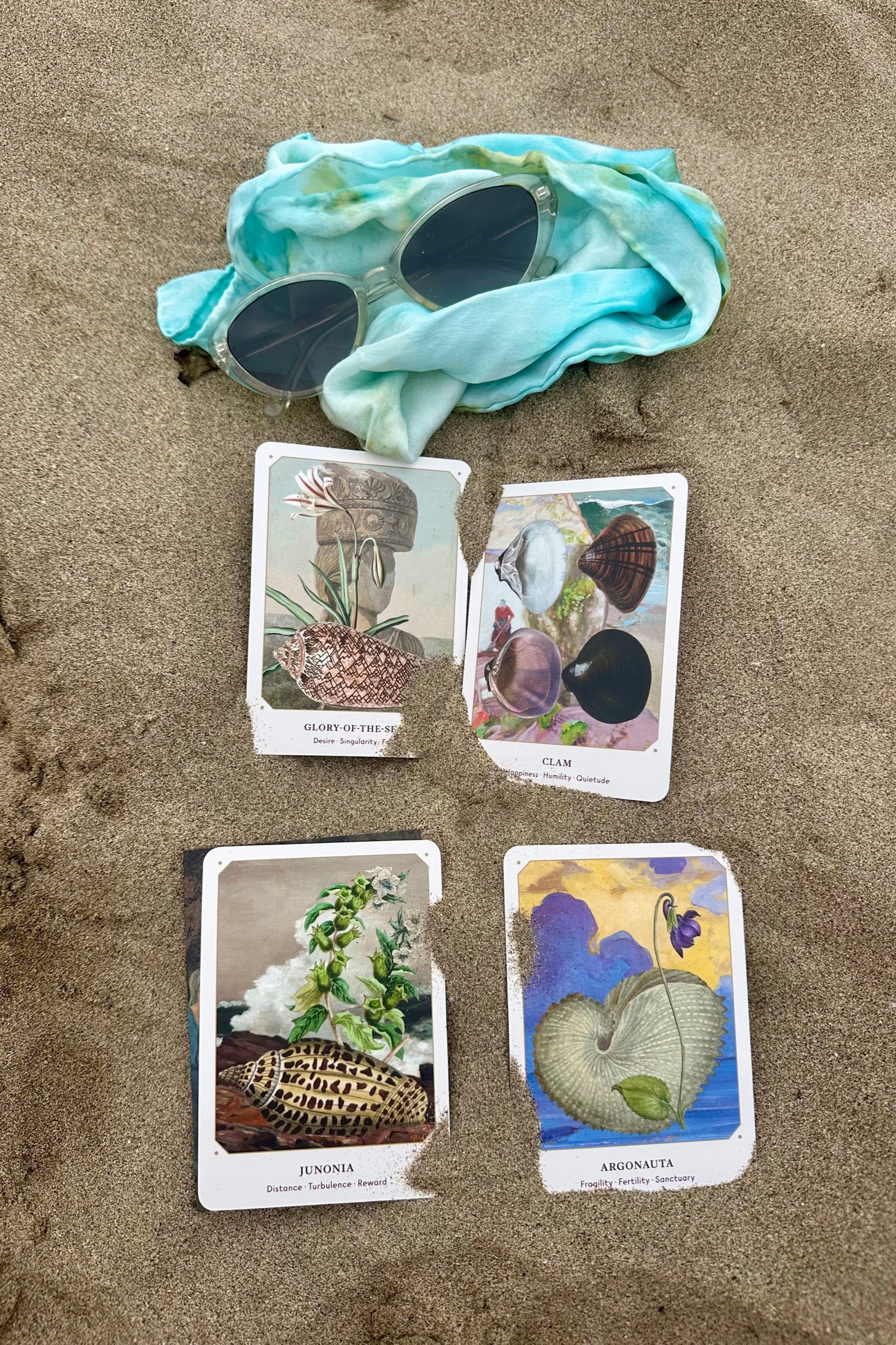 The Seashell Oracle