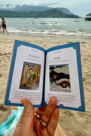 The Seashell Oracle