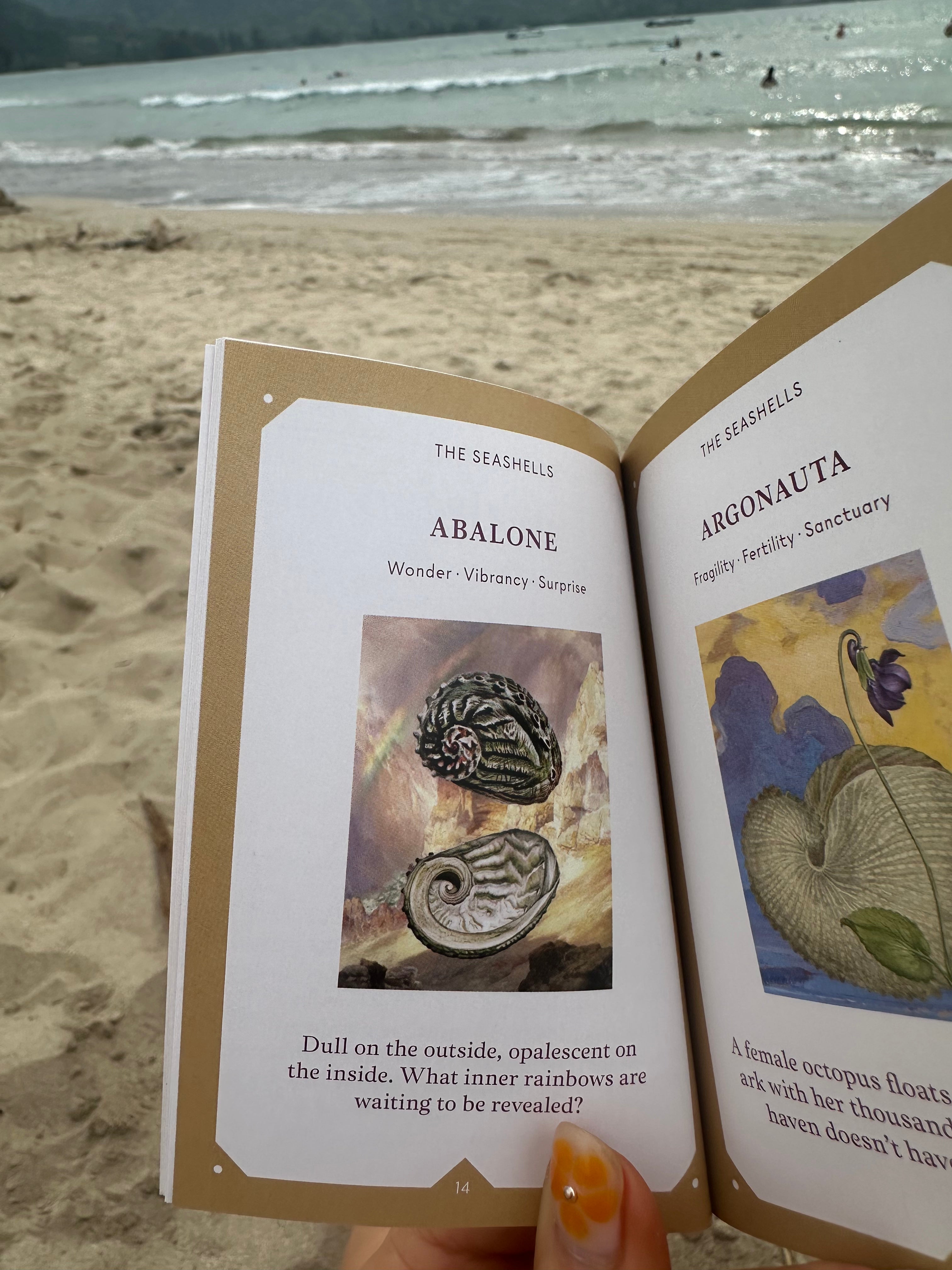 The Seashell Oracle