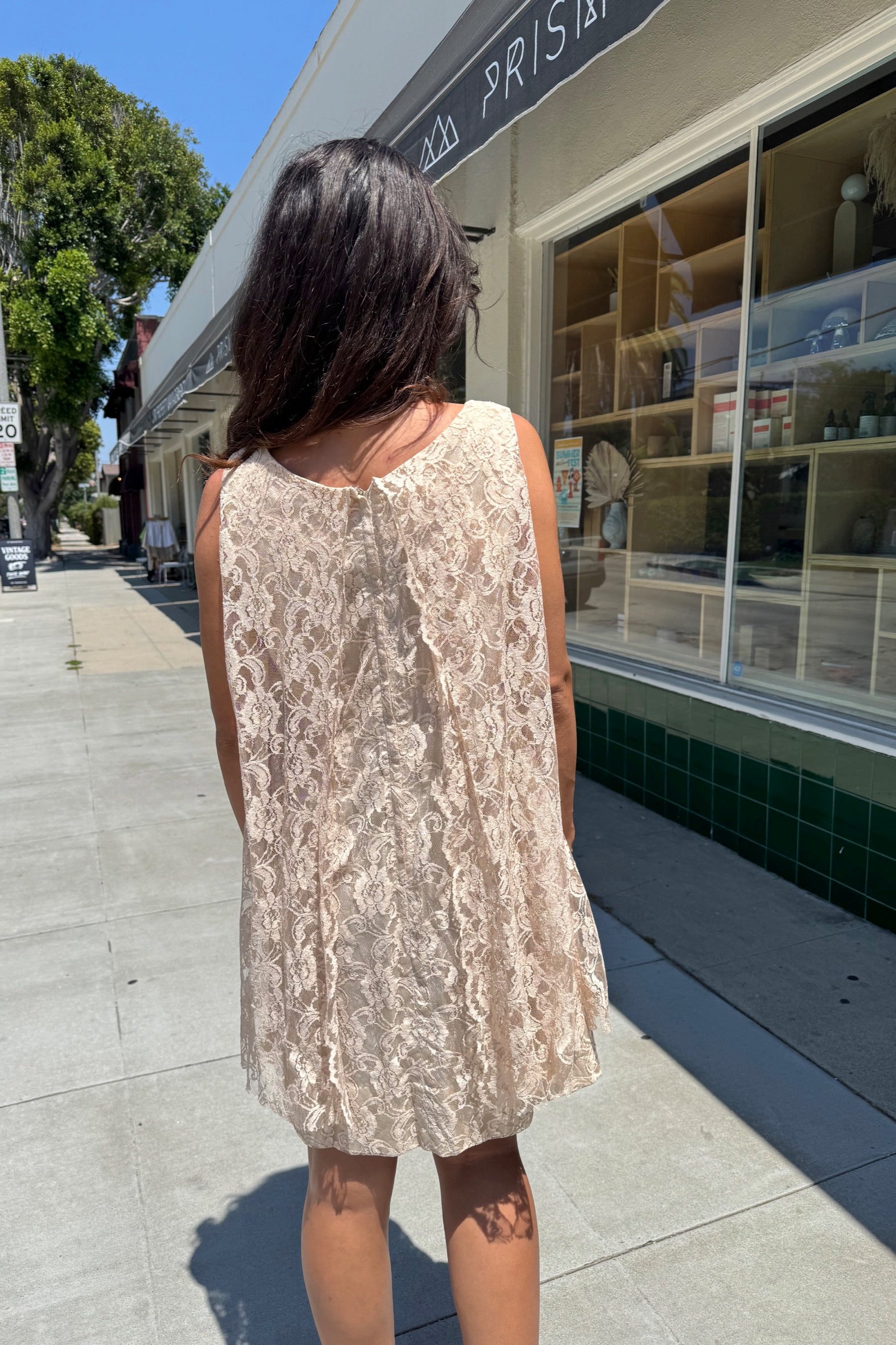 Carol Brent Lace Dress