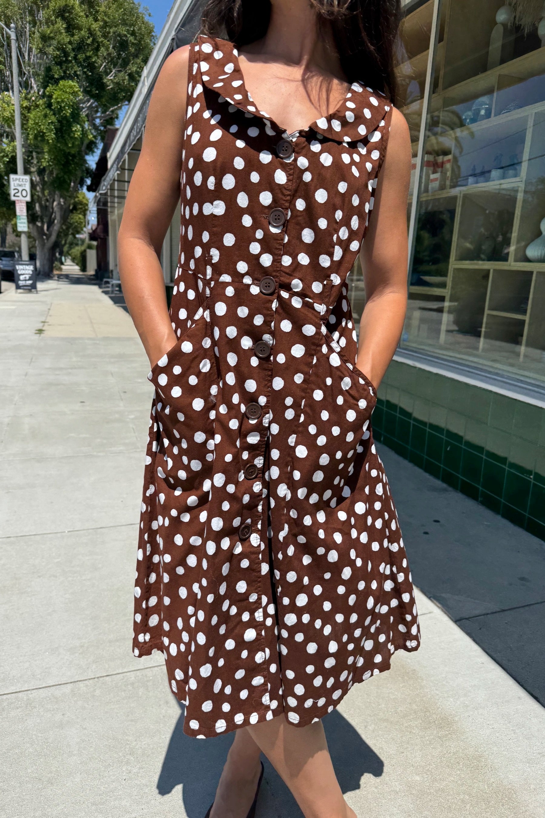 Brown Polka Dot Dress