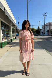 Pink + Brown Zig Zag Dress