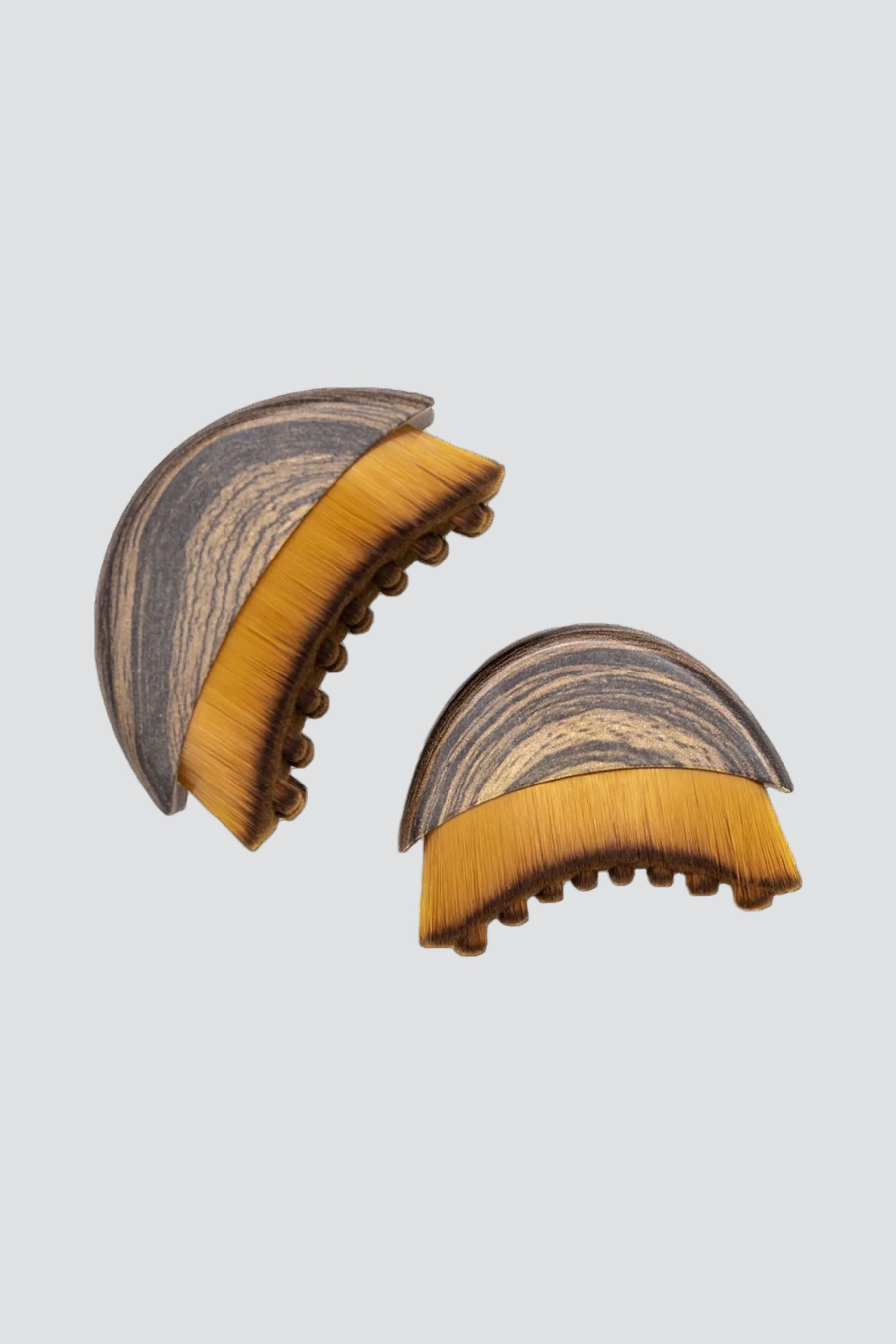 TheLymphaticBrush-clearcut.jpg