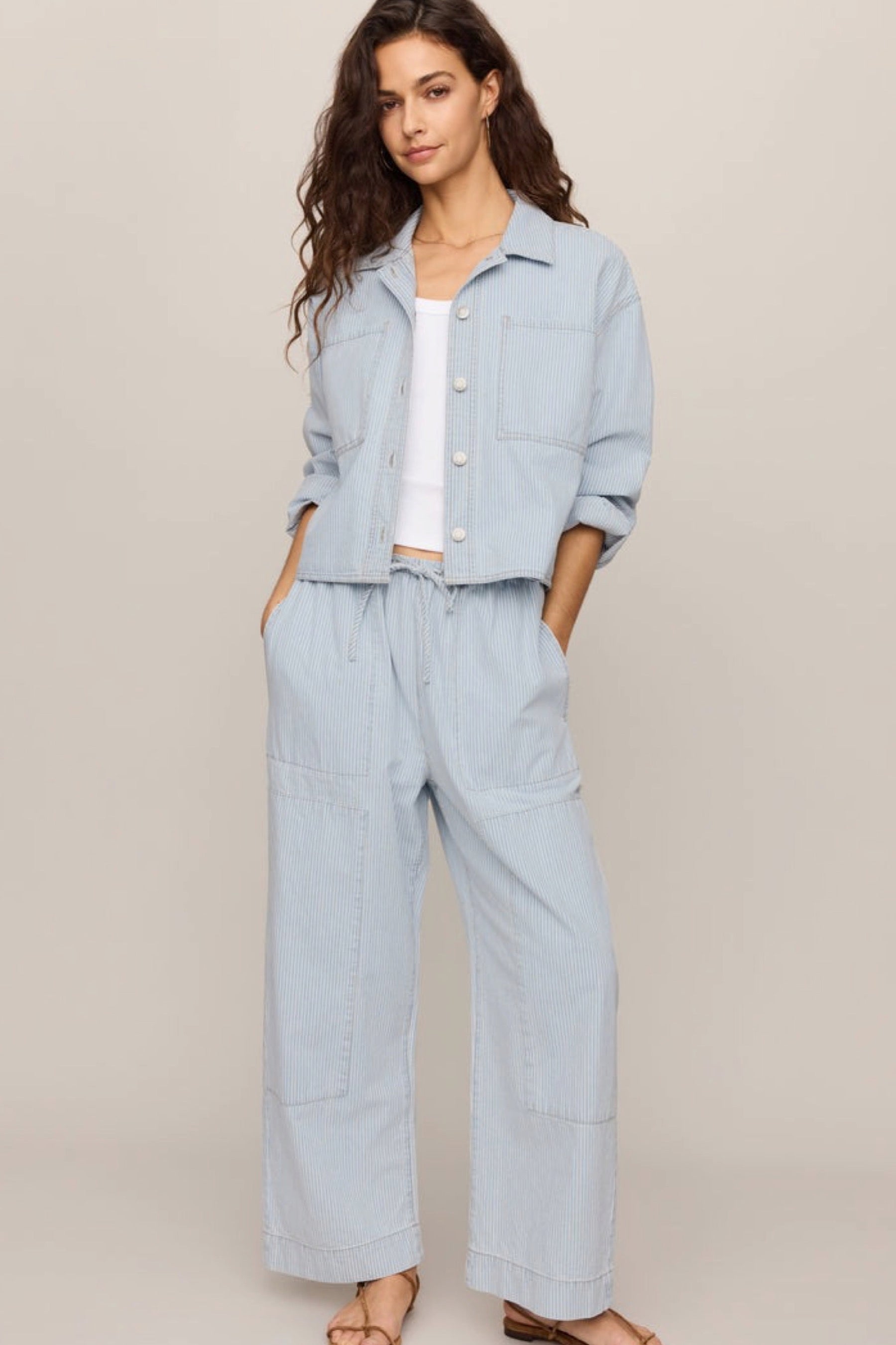 Seaboard Stripe Carpenter Pant