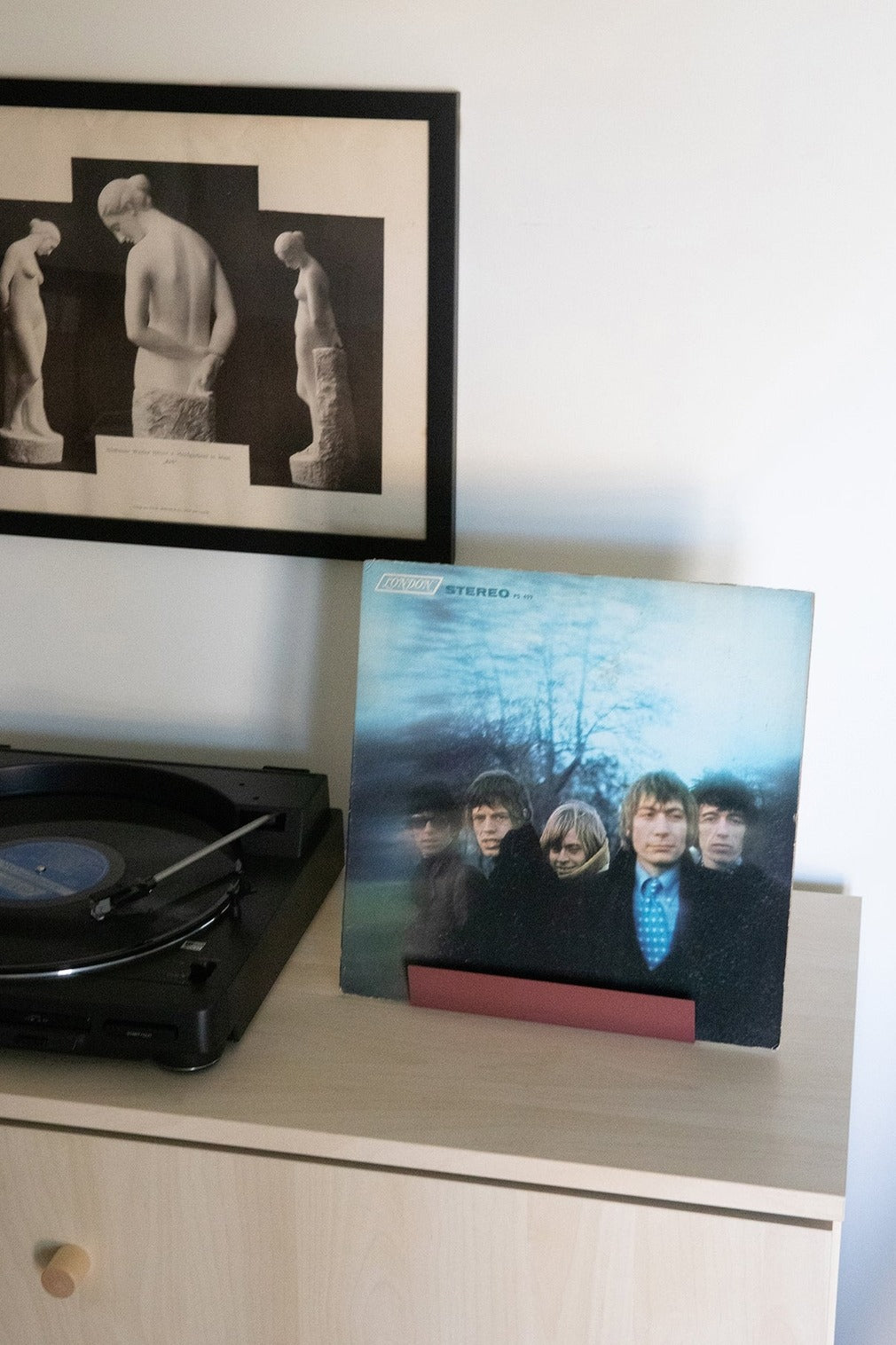 Rose Now Playing Stand