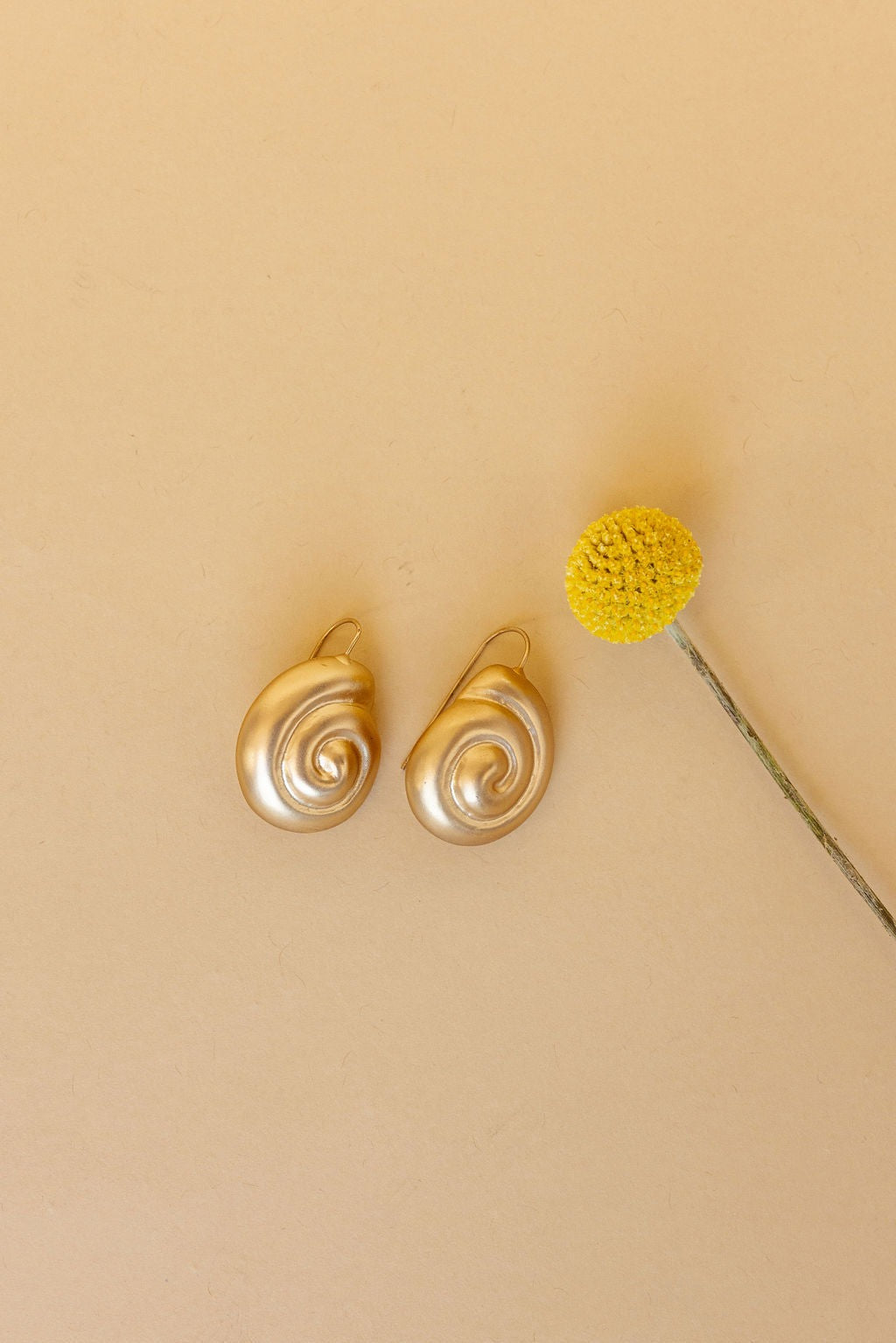 Gold Nautilus Earrings