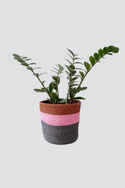 Rust Pink Basket
