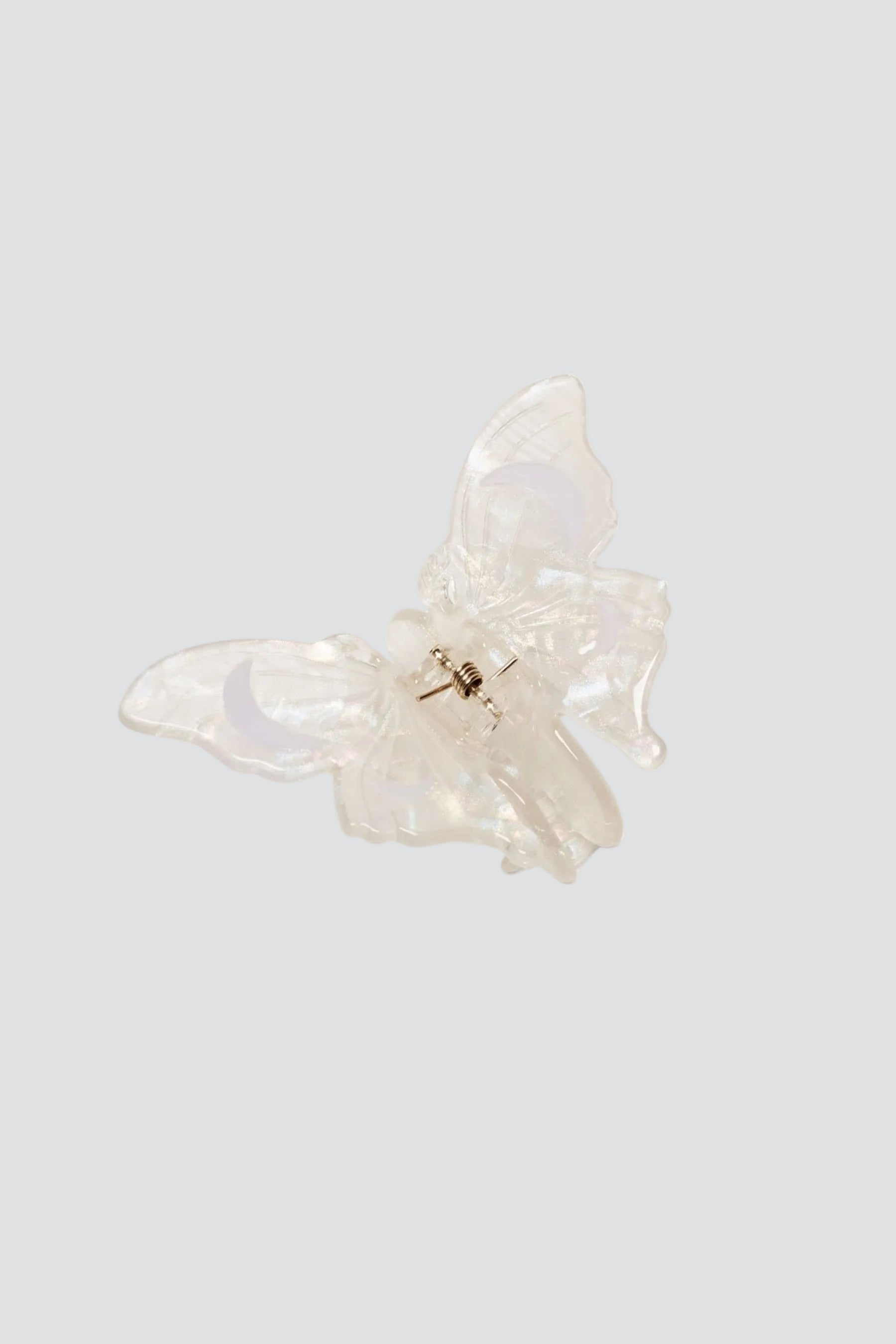 Satin Moth Claw