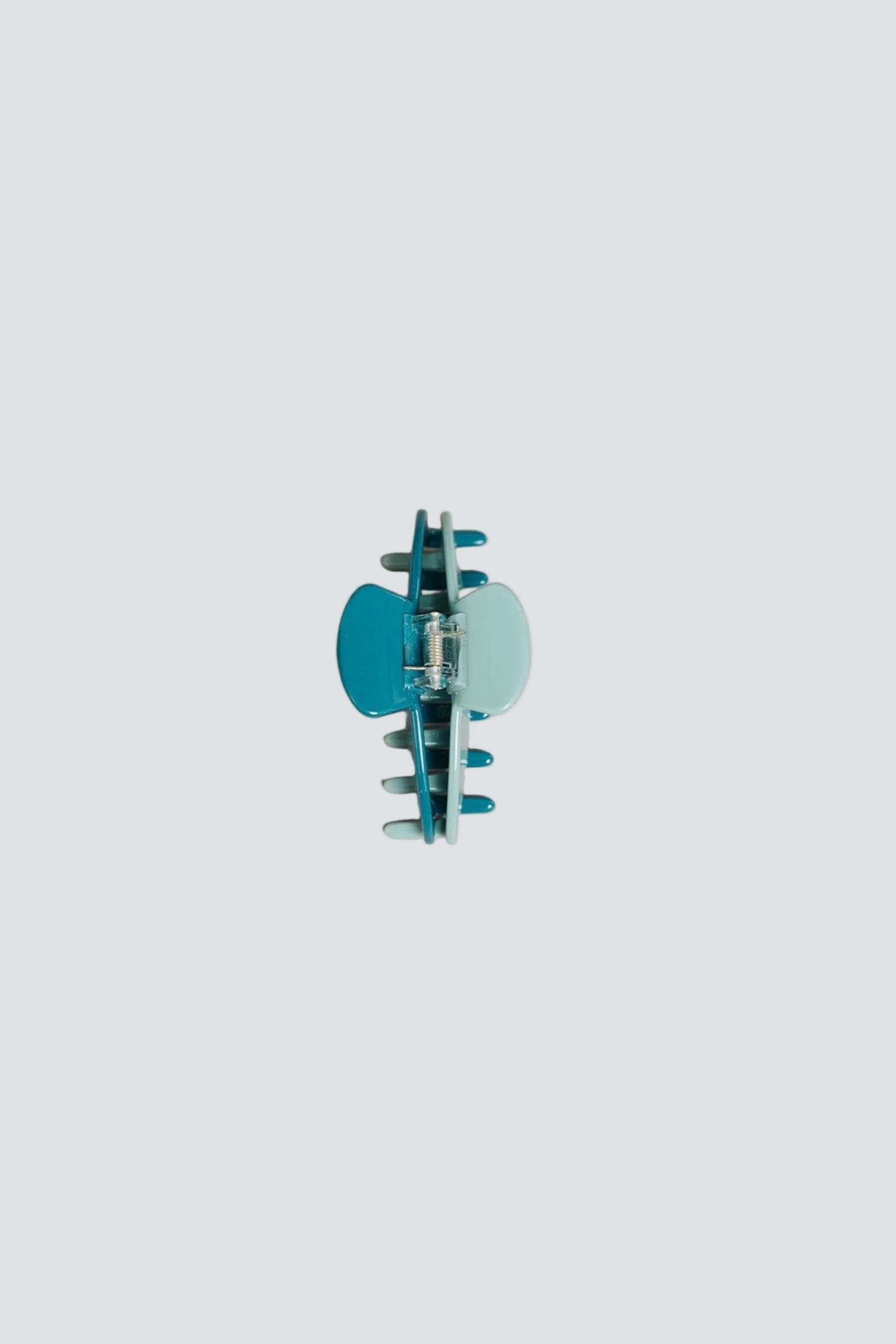 Robin Medium Claw Clip
