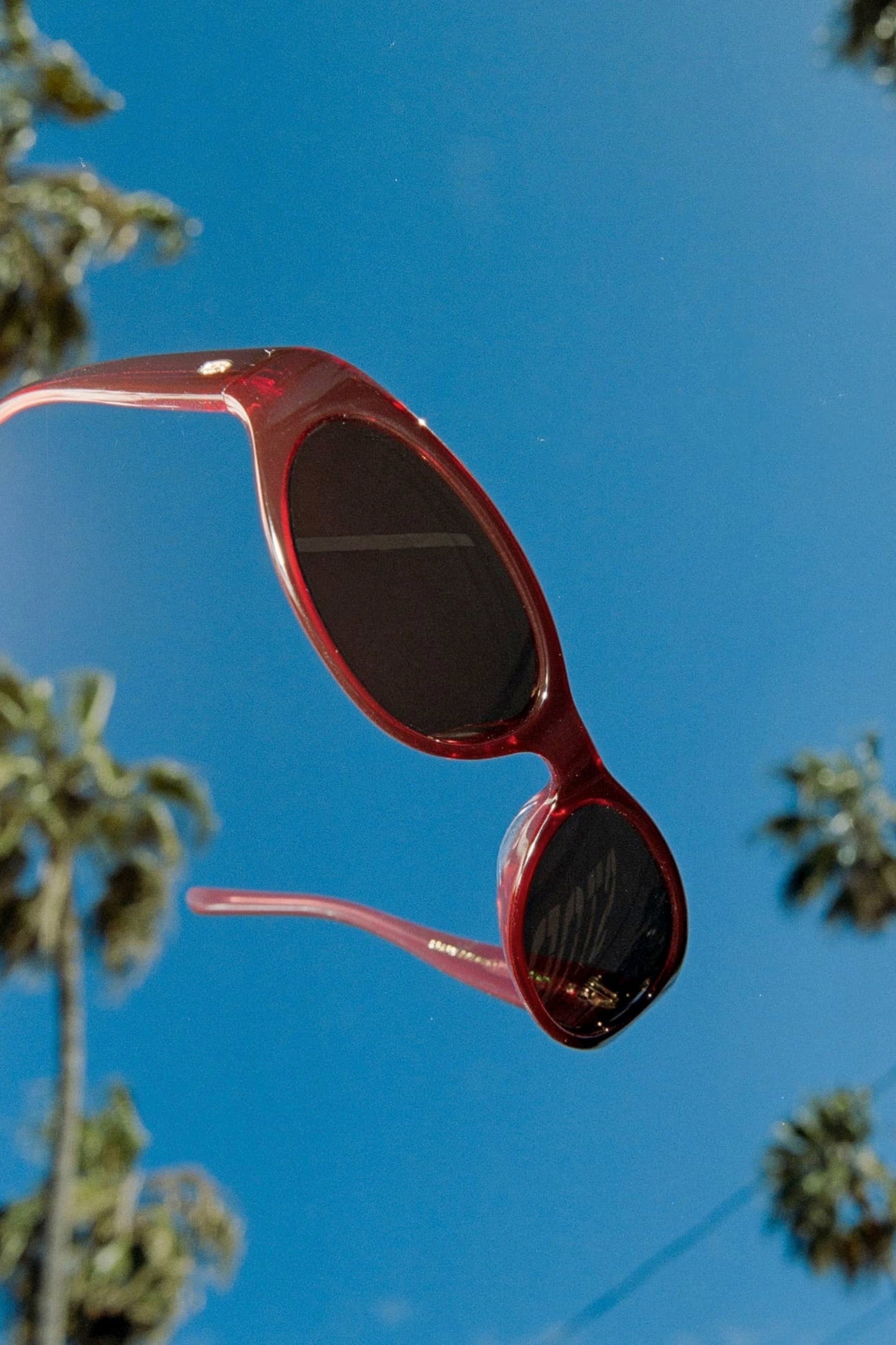 Black Cherry Mini Funk Sunglasses