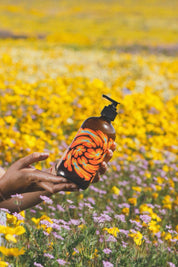 Meadow Vision Mind And Body Wash