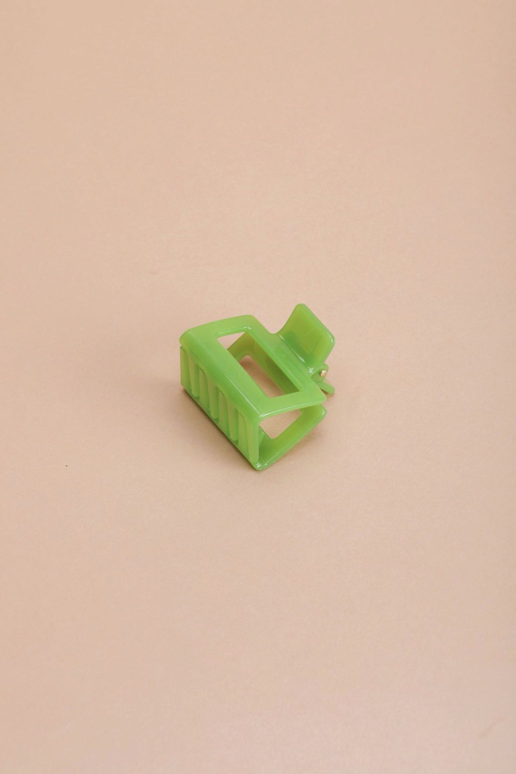 Cactus Marta Mini Claw