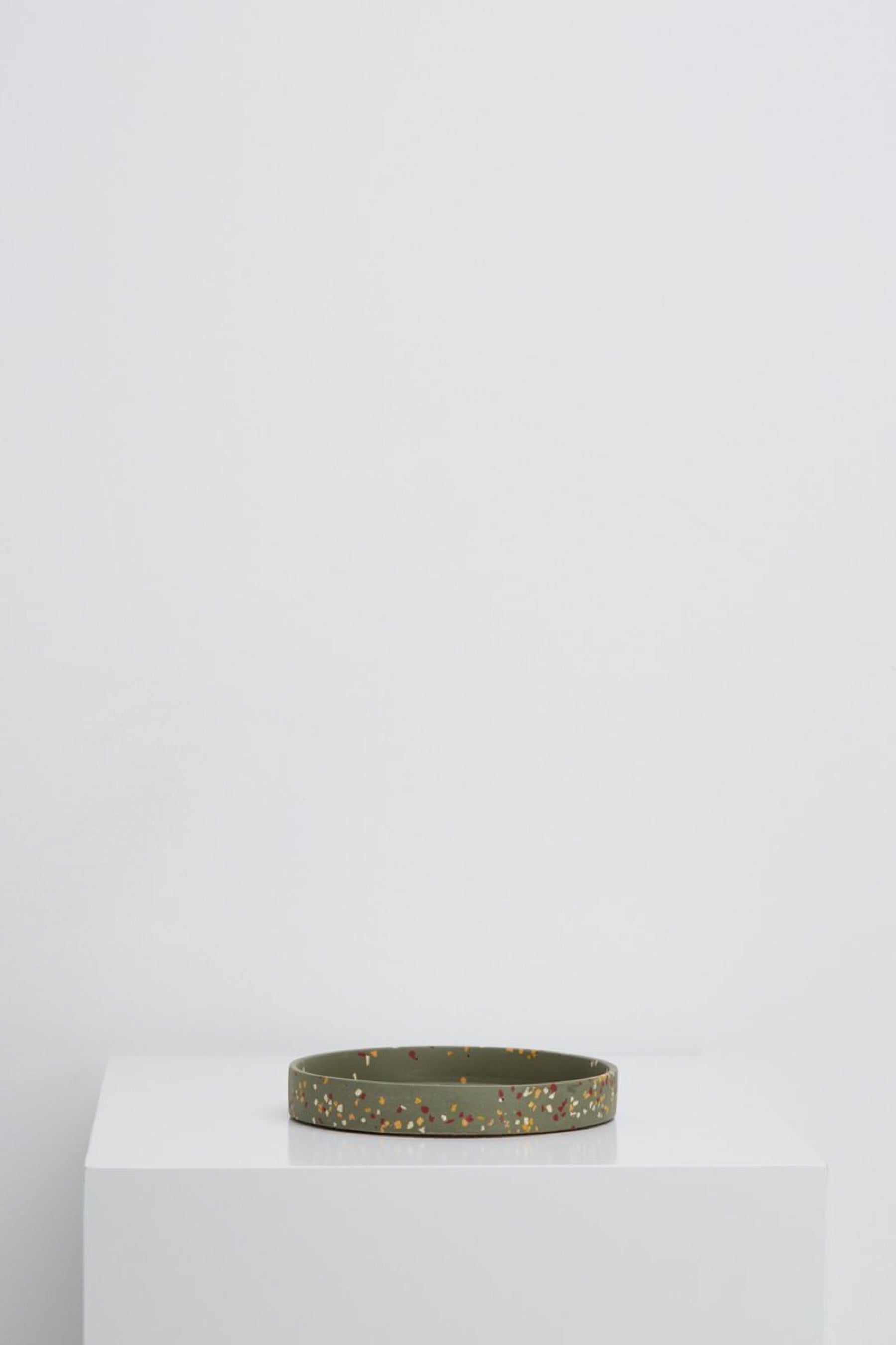 Medium Agave Terrazzo Tray