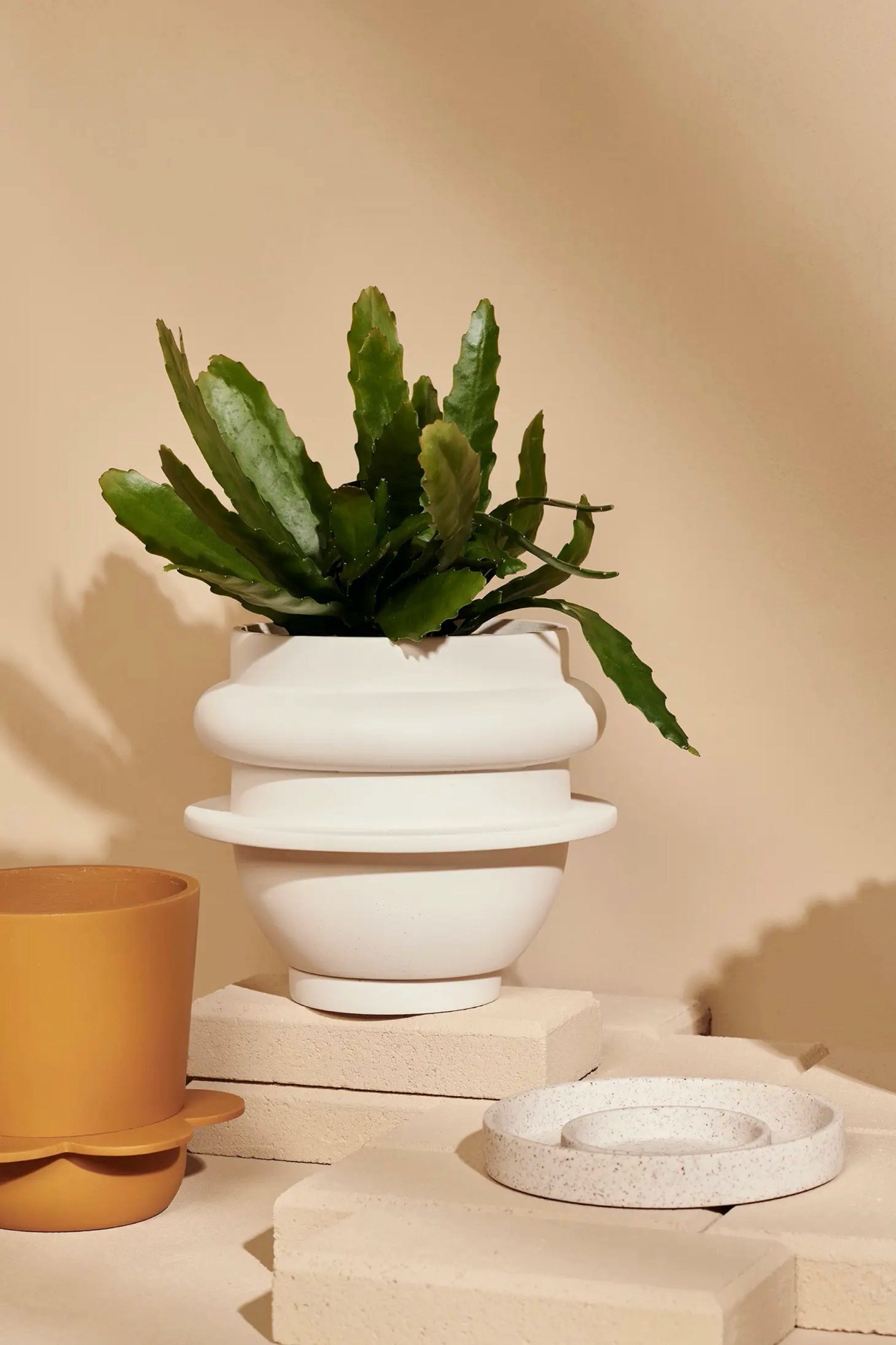 White Bud Planter