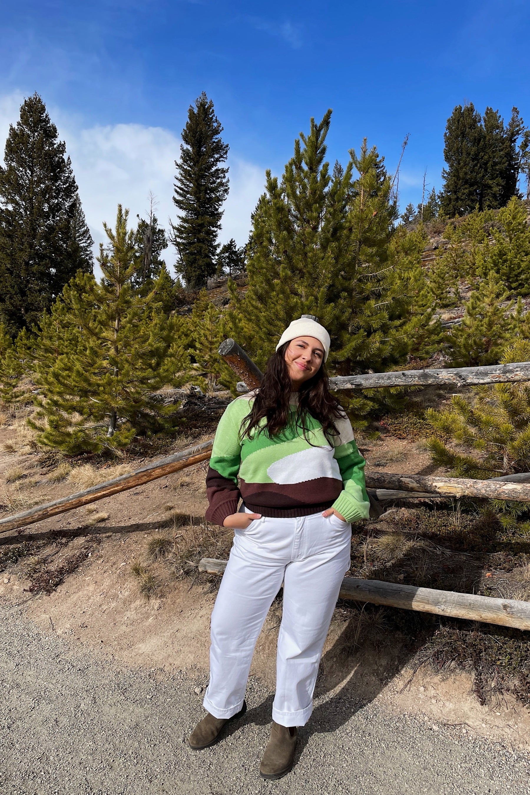 Golden Years Landscape Sweater