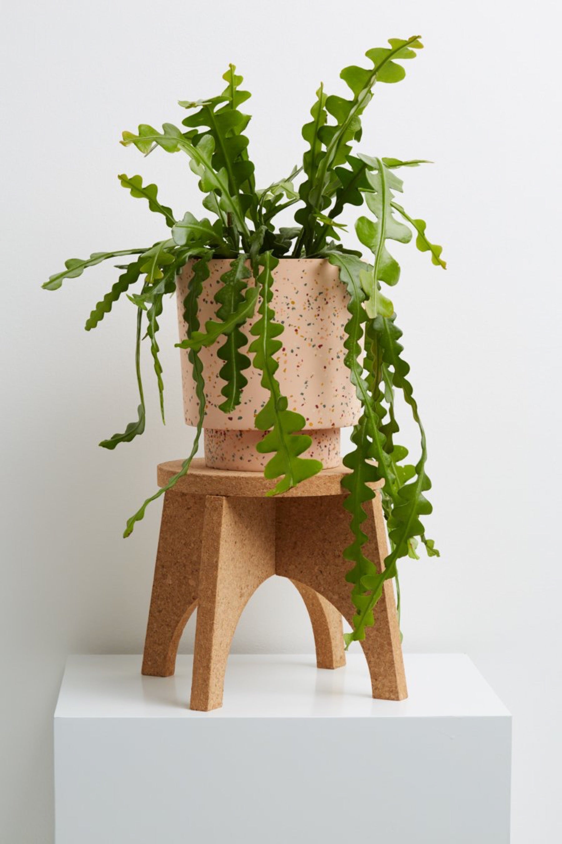 Cork Plant Stand