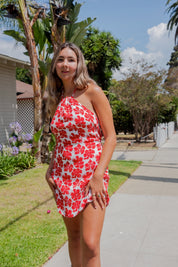 La Presa Gaia Mini Dress