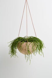 Salt Terrazzo Dome Hanging Pot