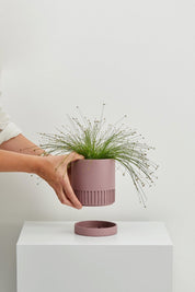 Musk Etch Pot