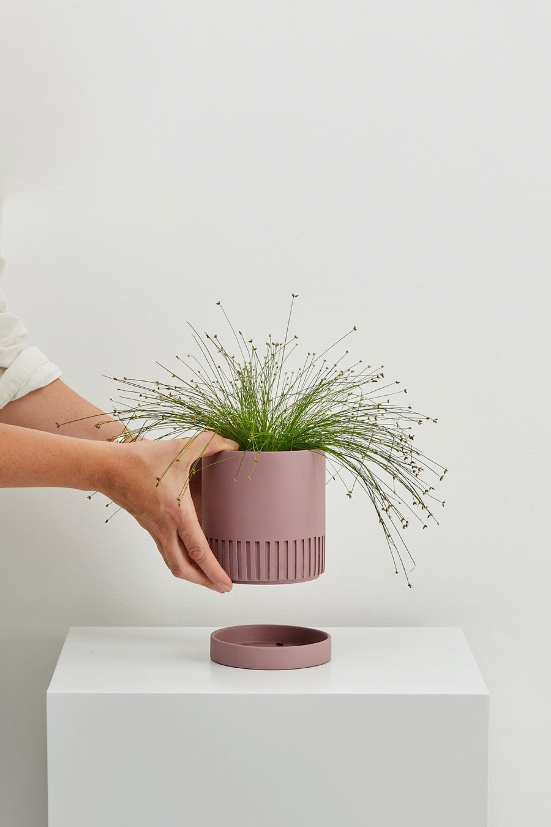 Musk Etch Pot