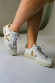 Extra White Dune V-12