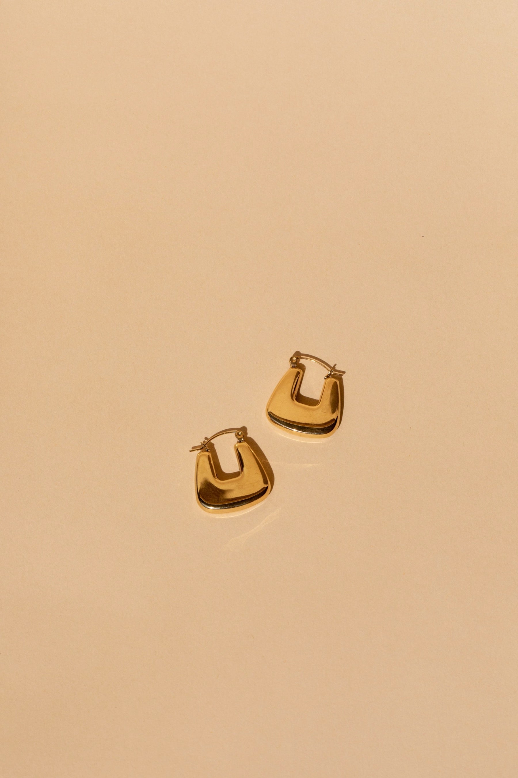 Gold Hudson Earrings