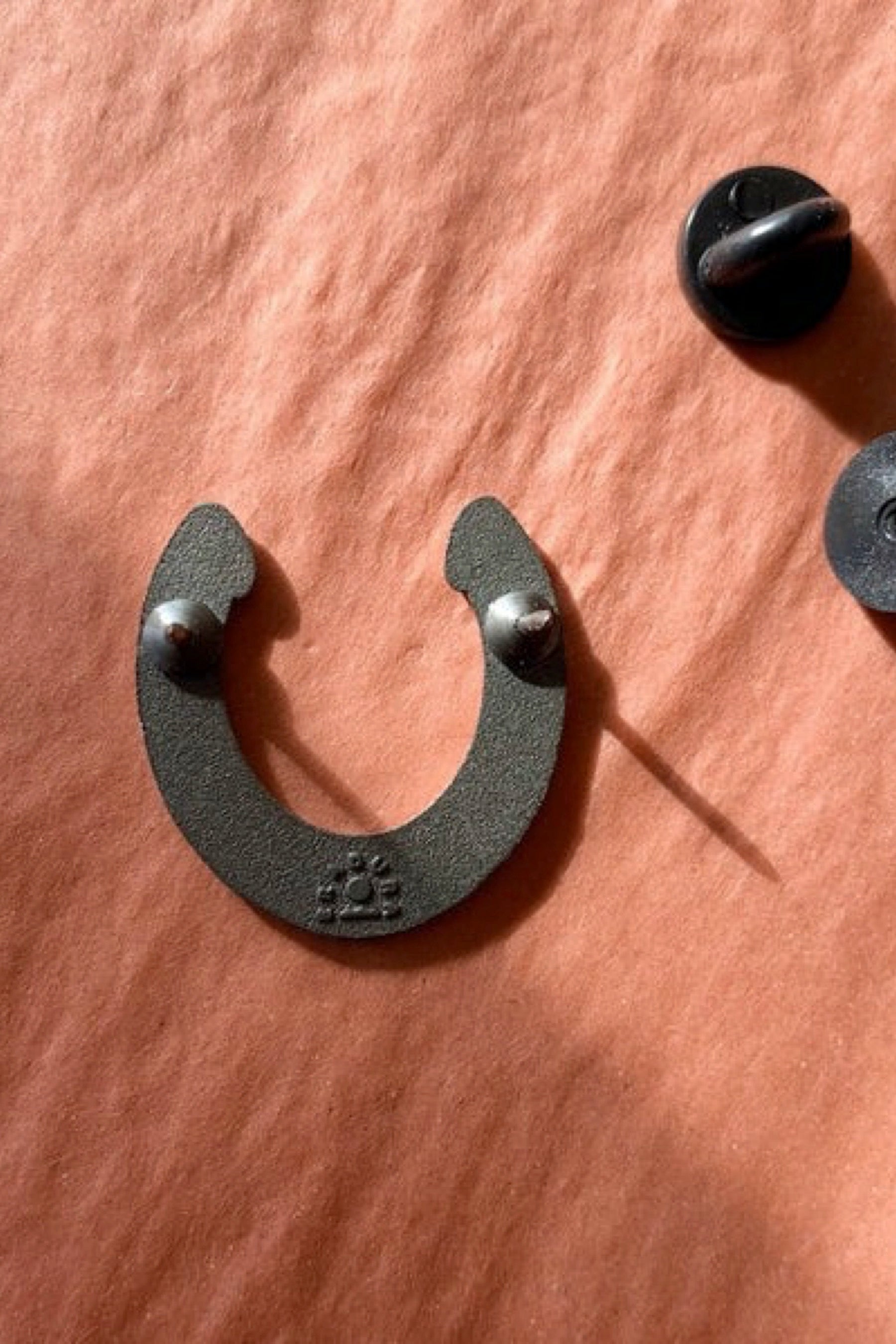 Horseshoe Pin