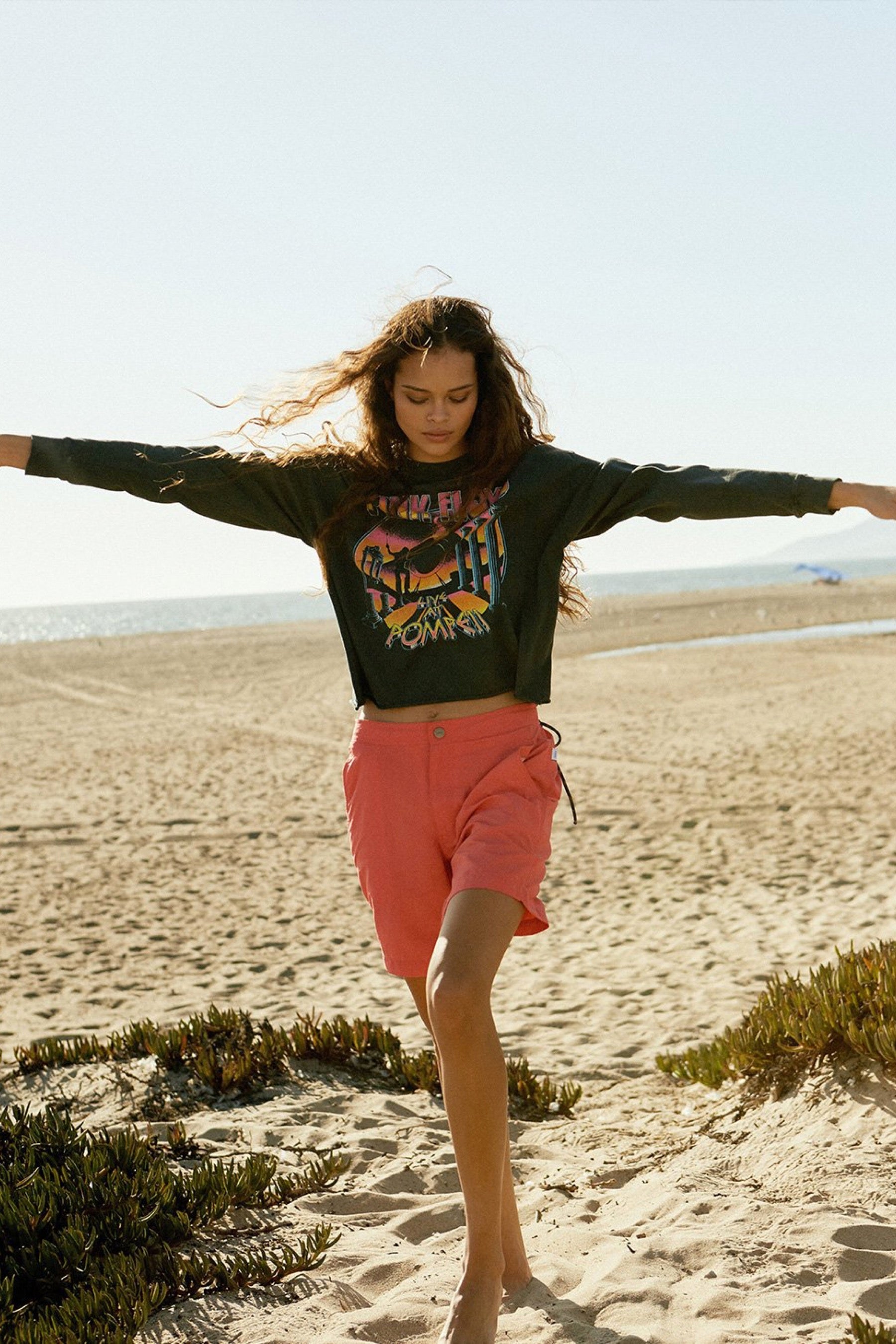 Pink Floyd Pompeii Long Sleeve Crop