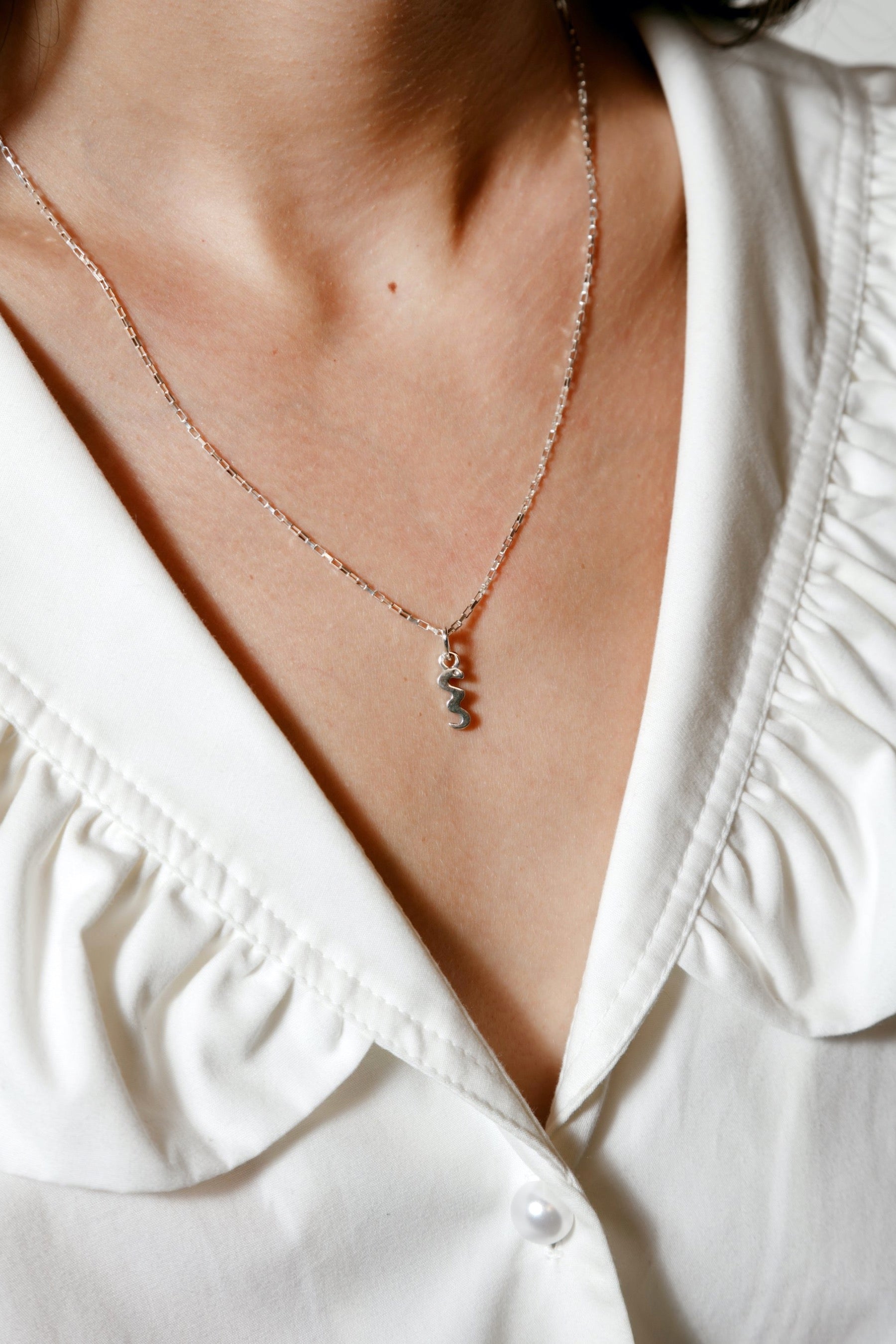 Silver Charm Snake Necklace