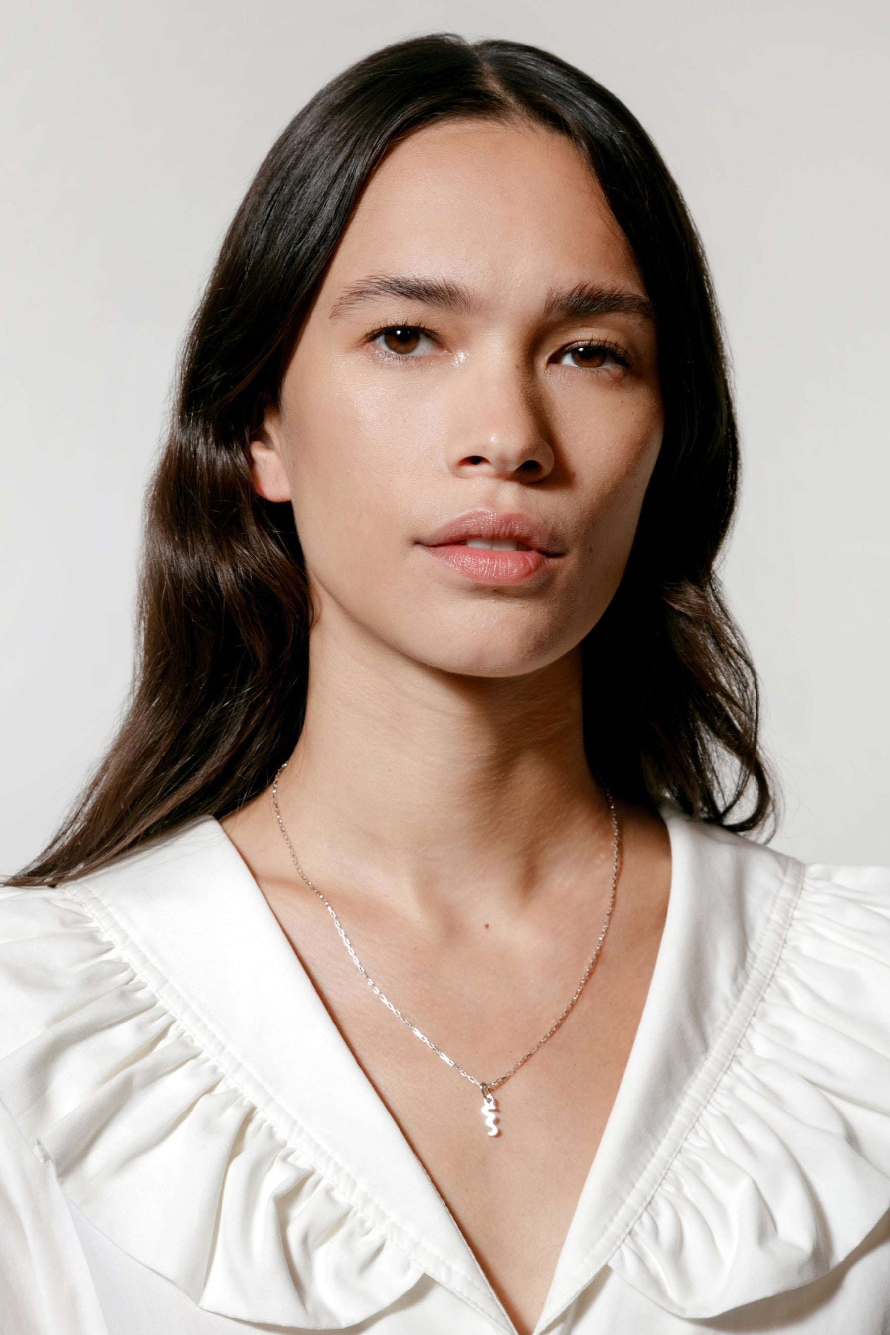 Silver Charm Snake Necklace