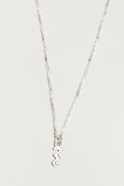 Silver Charm Snake Necklace