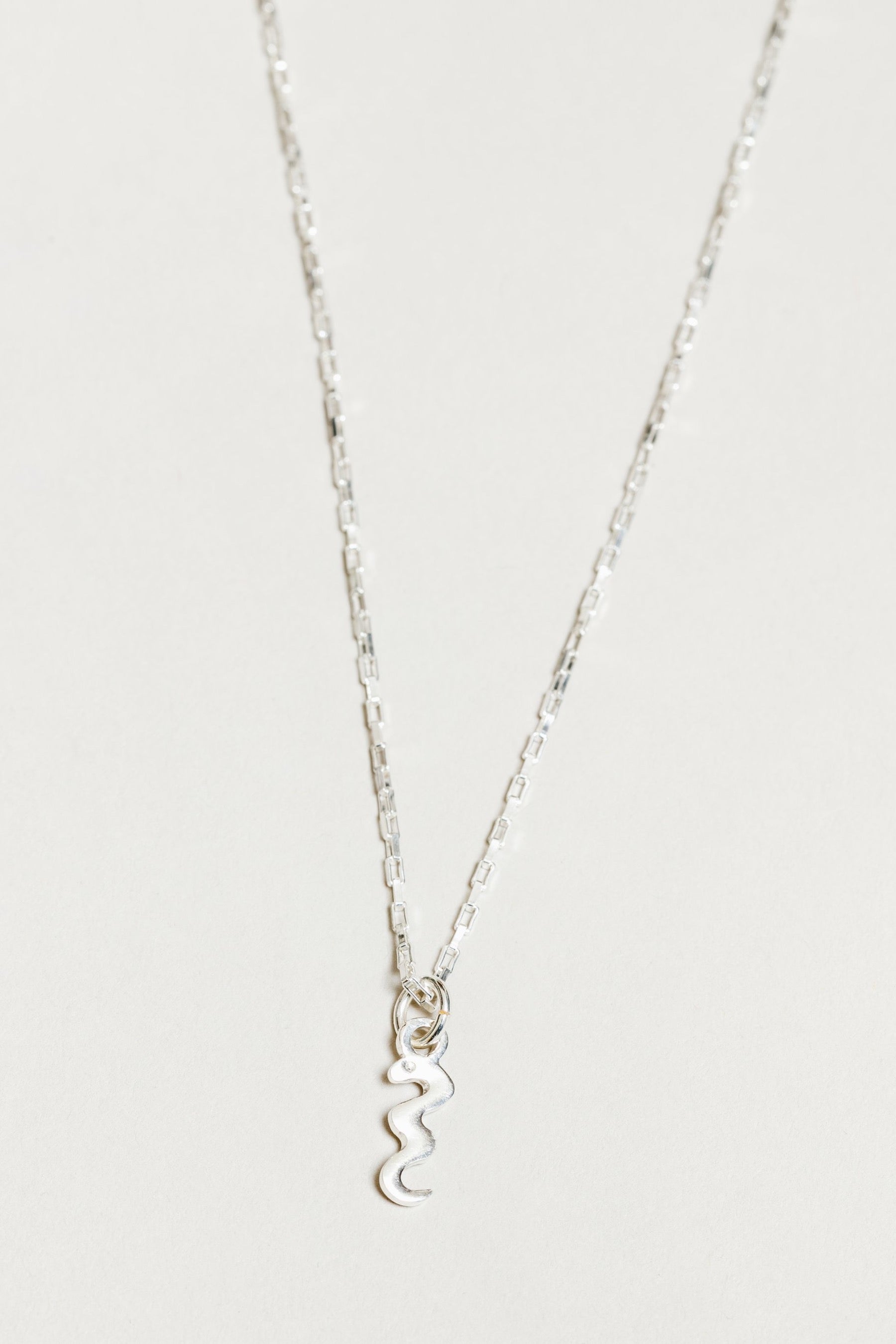 Silver Charm Snake Necklace