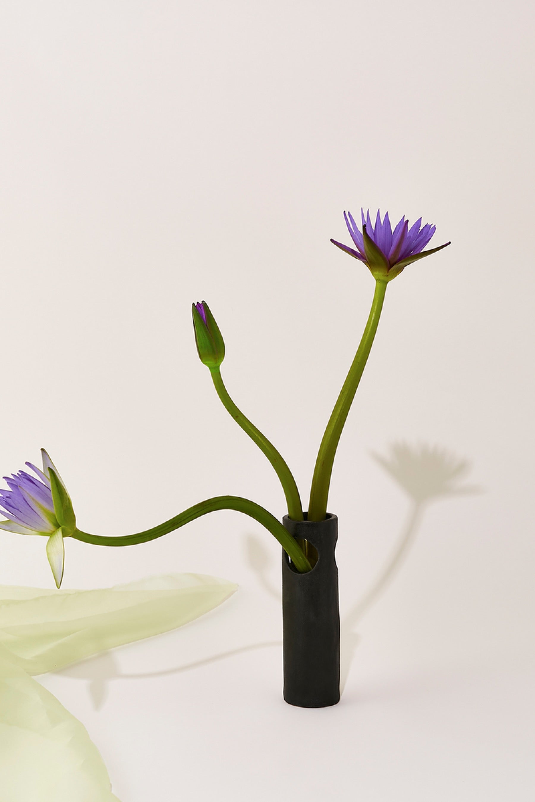 Small Black Cenote Vase