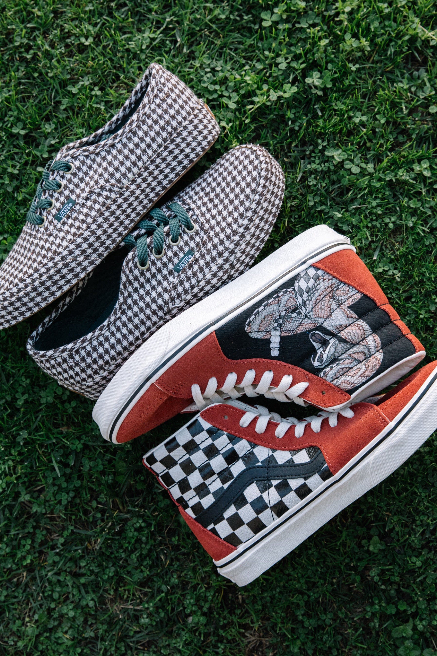 Snake Chili Oil Desert Sk8-Hi