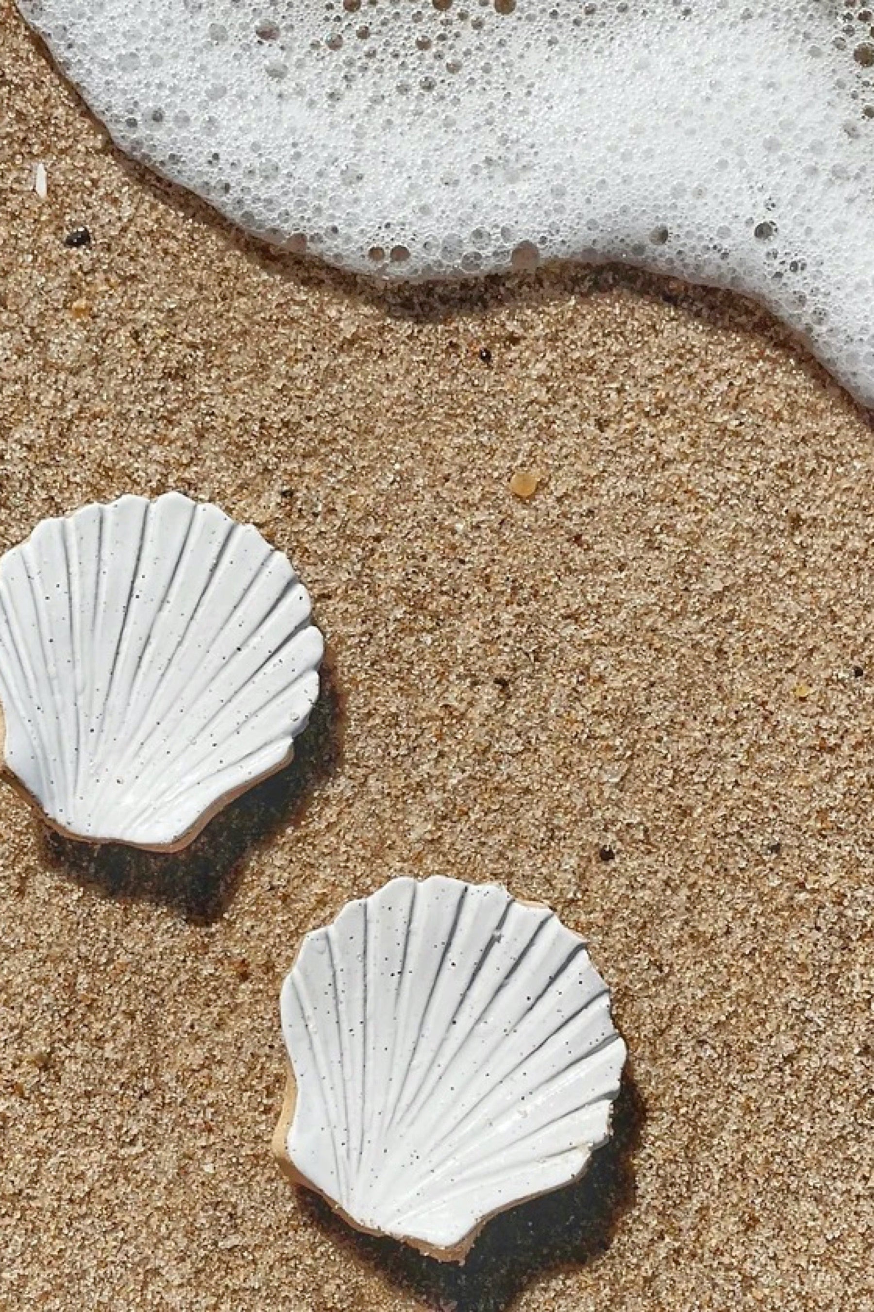 White Seashell Dish