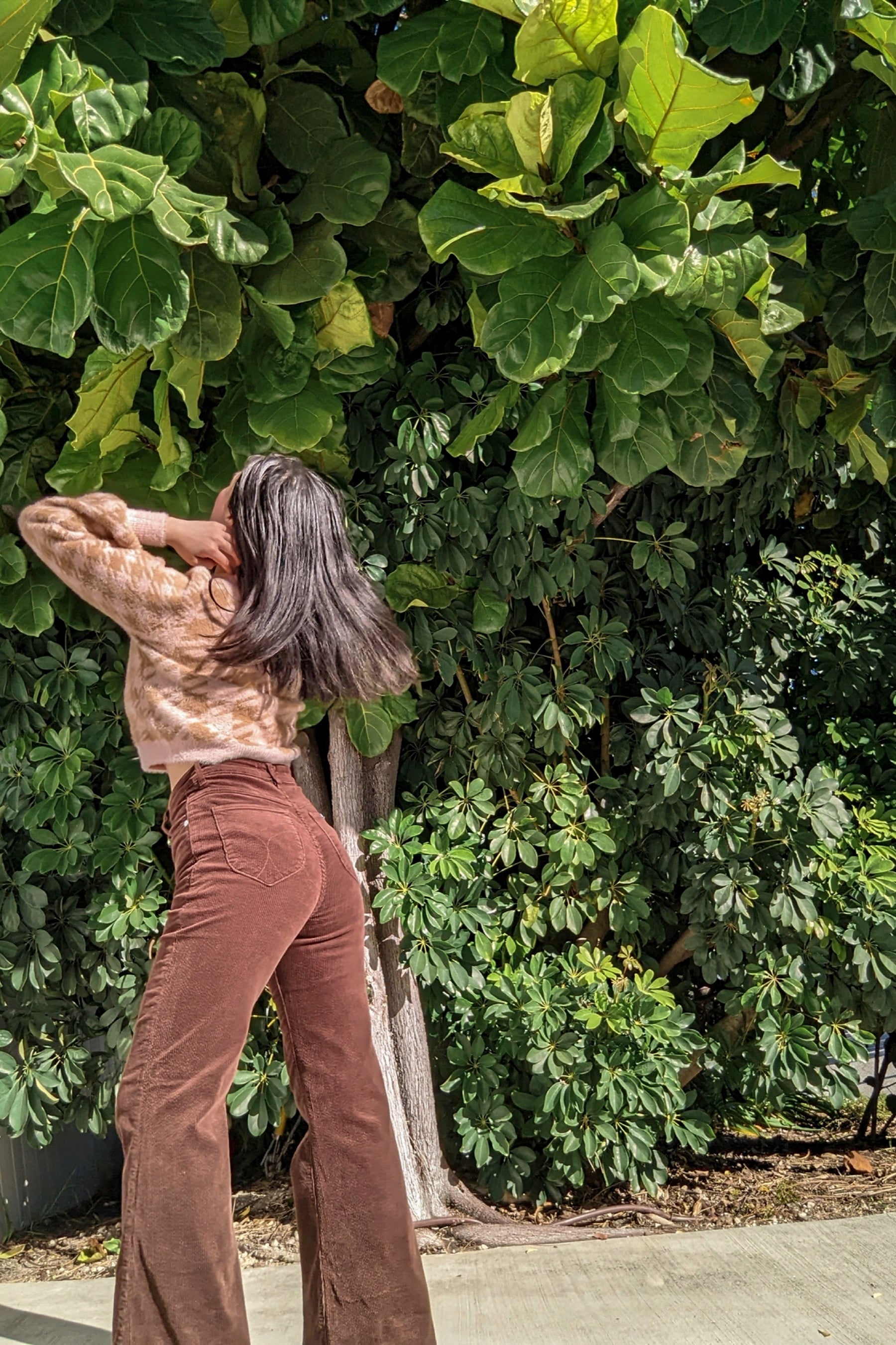 Brown Cord Eastcoast Flare